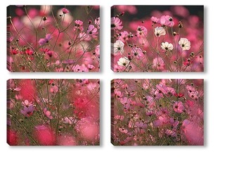 Модульная картина Fcosm028