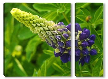 Модульная картина Люпин