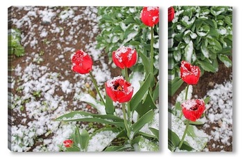 Модульная картина тюльпаны под снегом 