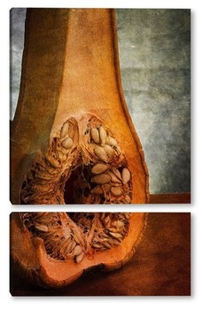 Модульная картина Анатомия тыквы