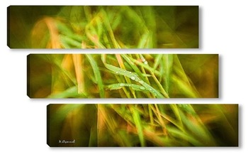 Модульная картина Дождевые капли на зелёной траве