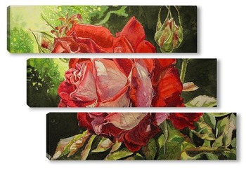 Модульная картина Роза с капельками утренней росы