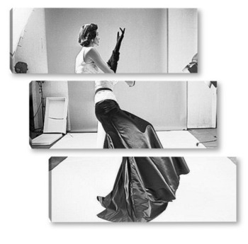 Модульная картина RZ002065