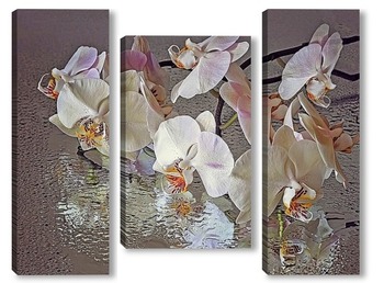 Модульная картина Орхидея на мокром стекле