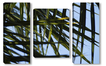 Модульная картина Листочки пальмы