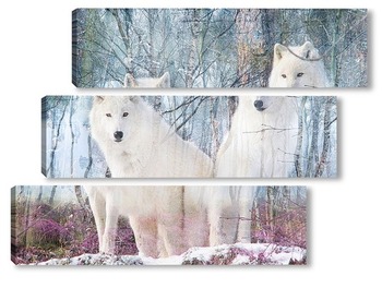 Модульная картина Белоснежные волки