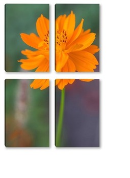 Модульная картина Оранжевые цветы