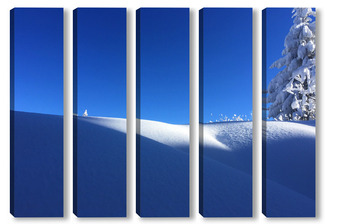 Модульная картина Снежна природа 3 / Snowy nature 3