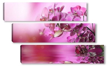 Модульная картина "Нежные цветы Орхидеи".