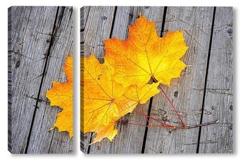 Модульная картина Осенние кленовые листья