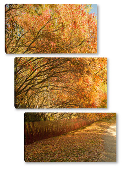 Модульная картина Осенняя аллея в городско парке