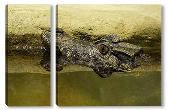 Модульная картина крокодил