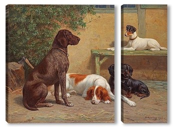 Модульная картина Группа собак