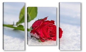 Модульная картина Алая роза на снегу