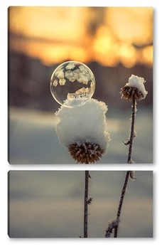 Модульная картина Мыльный пузырь на сухом растении ,покрытом снегом
