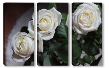 Модульная картина белые розы