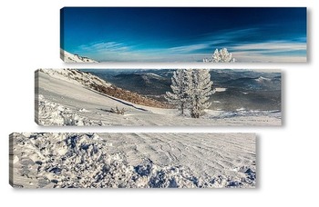 Модульная картина Зимний пейзаж 