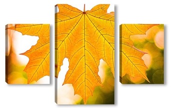 Модульная картина Осенний лист