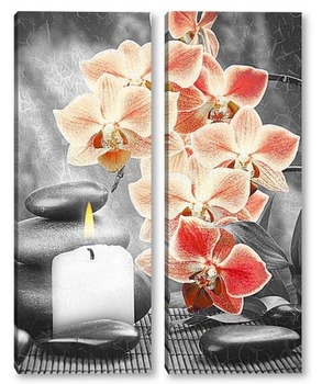 Модульная картина Оранжевые орхидеи