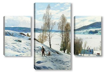Модульная картина Зима в Однес, Норвегия