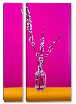 Модульная картина Натюрморт с ветками цветущей абрикосы
