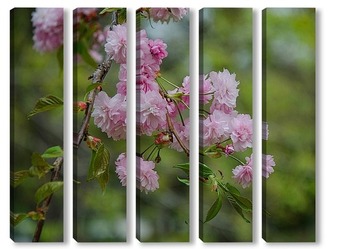 Модульная картина Сакура цветёт