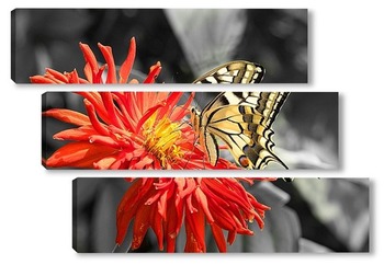 Модульная картина Бабочка на красном цветке