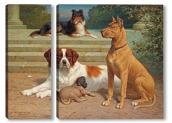 Модульная картина Группа собак на лестнице