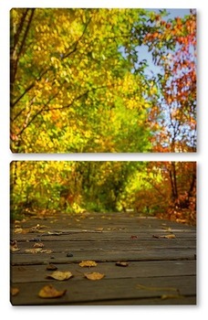 Модульная картина Деревянная дорожка, в осеннем парке