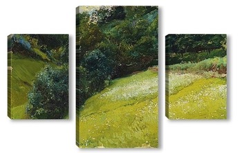   Поле в Астурии, Сан-Эстебан-де-Правиа