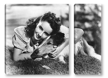 Модульная картина PEN3486