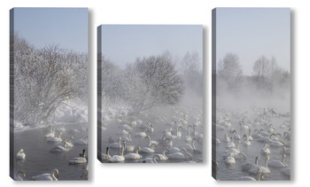 Модульная картина Лебеди на озере на Алтае