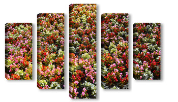 Модульная картина Красный цветочный ковёр