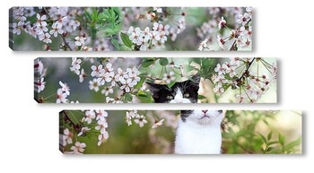 Модульная картина котенок и цветы