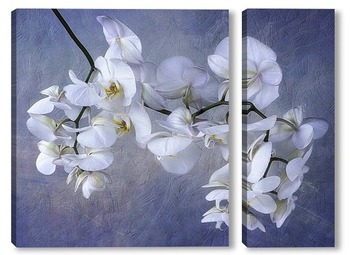Модульная картина Орхидея белая