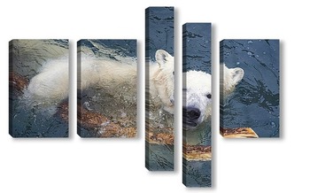 Модульная картина белый медвежонок