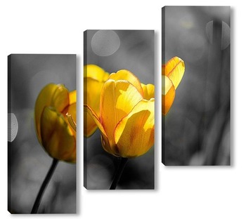 Модульная картина Желтые тюльпаны