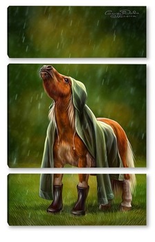 Модульная картина Пони под дождем