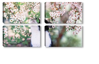 Модульная картина кошка в саду