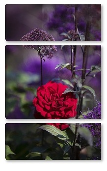 Модульная картина Роза в осеннем саду
