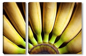 Модульная картина Бананы
