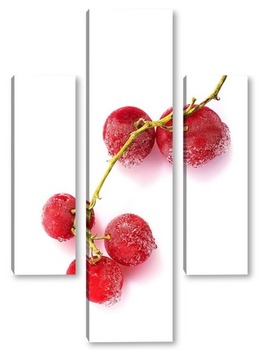 Модульная картина Замороженные ягоды