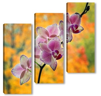 Модульная картина Орхидея и осень