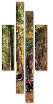 Модульная картина Большие деревья и сова