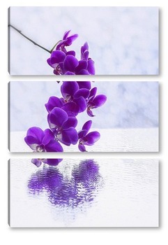 Модульная картина Ветка пурпурной орхидеи