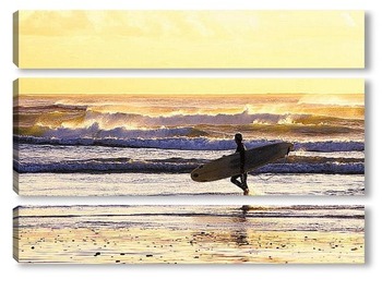 Модульная картина Surfing002