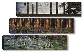 Модульная картина Лотосы - цветы Будды. Цейлон.