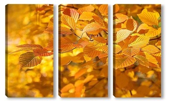 Модульная картина Осенние листя деревьев