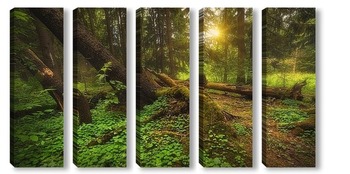 Модульная картина Утро в лесу