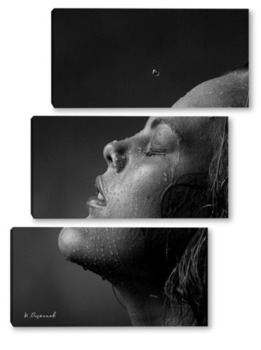 Модульная картина Девушка с мокрым лицм